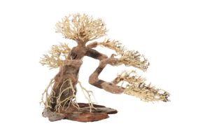 Bonsaï décoratif